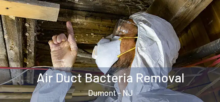  Air Duct Bacteria Removal Dumont - NJ