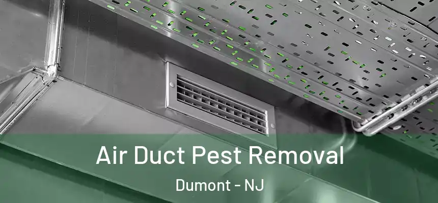Air Duct Pest Removal Dumont - NJ