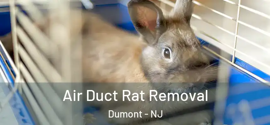 Air Duct Rat Removal Dumont - NJ