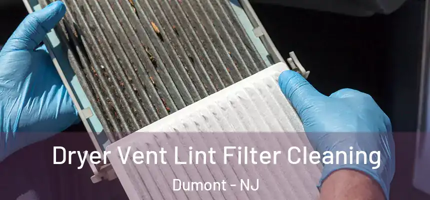 Dryer Vent Lint Filter Cleaning Dumont - NJ
