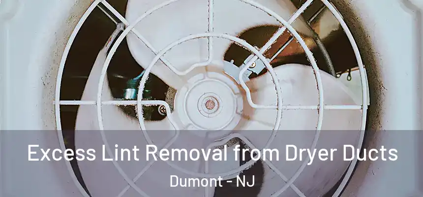 Excess Lint Removal from Dryer Ducts Dumont - NJ