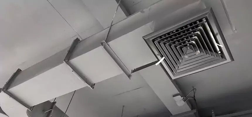 Restorative Allergy Relief Vent Cleaning – Coil, Blower & Housing Detail in Dumont