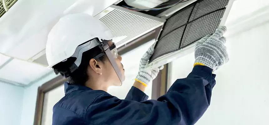 Our Mold & Mildew Removal from Air Ducts Services in Dumont, NJ