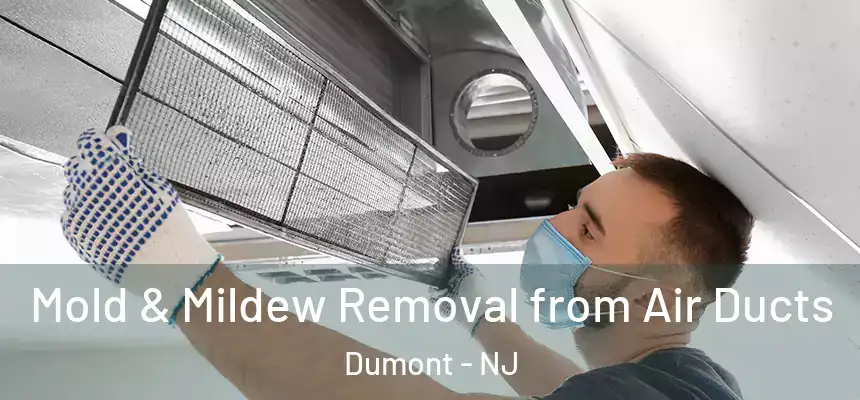 Mold & Mildew Removal from Air Ducts Dumont - NJ