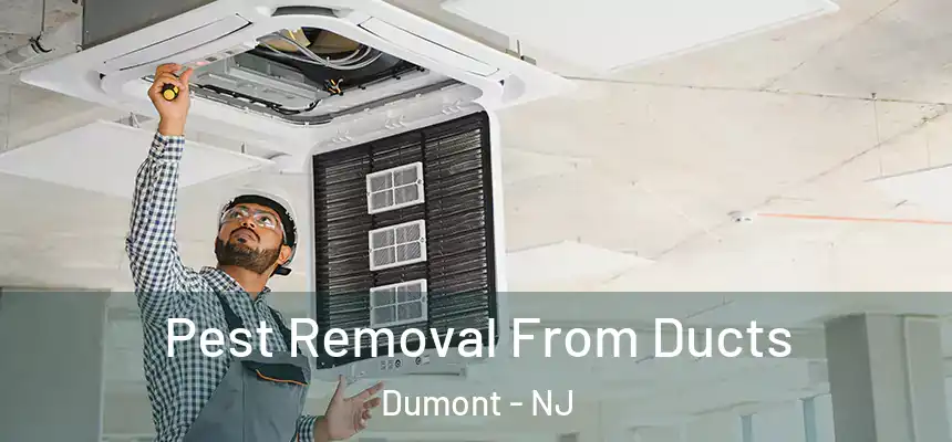 Pest Removal From Ducts Dumont - NJ