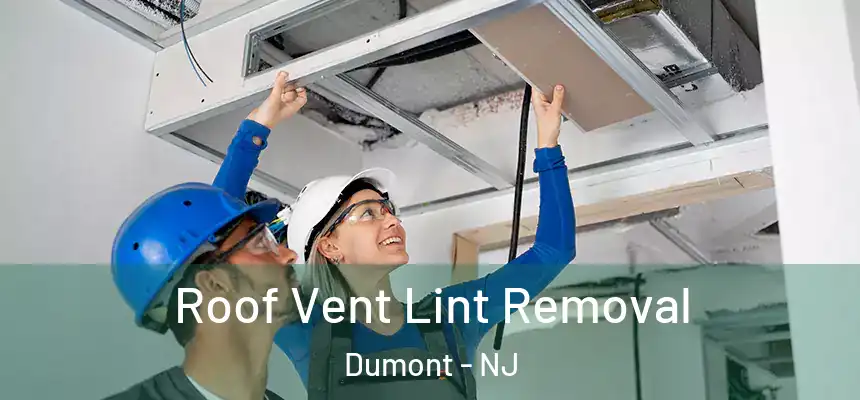 Roof Vent Lint Removal Dumont - NJ