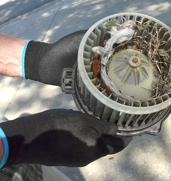 About Air Duct Rat Removal in Dumont, NJ