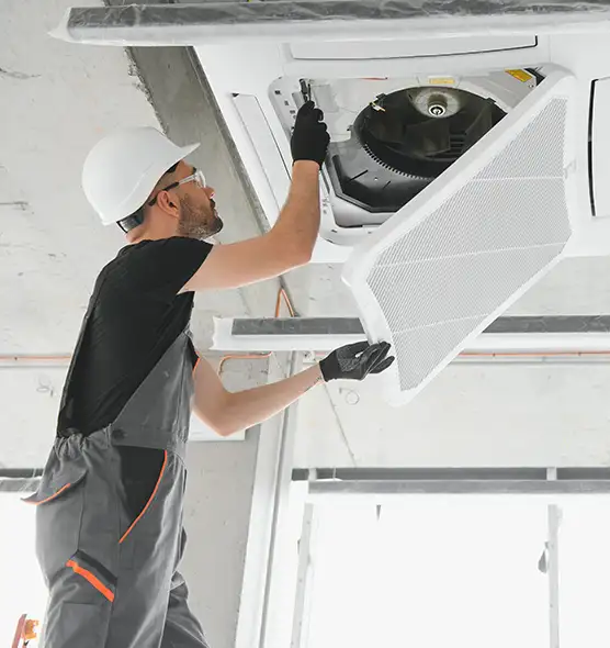 About Air Duct Rodent Removal in Dumont, NJ