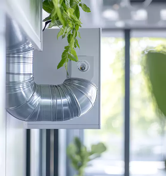 Professional Eco-Safe Dryer Vent Cleaning in Dumont, NJ