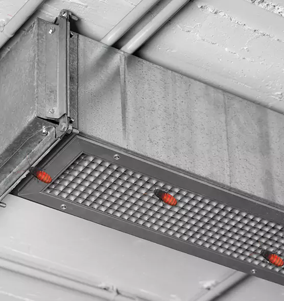 Affordable Insect Removal from Air Ducts in Dumont, NJ