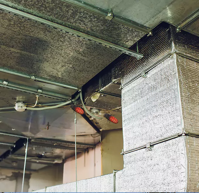 Why Homeowners & Businesses Trust Us in Dumont, NJ?