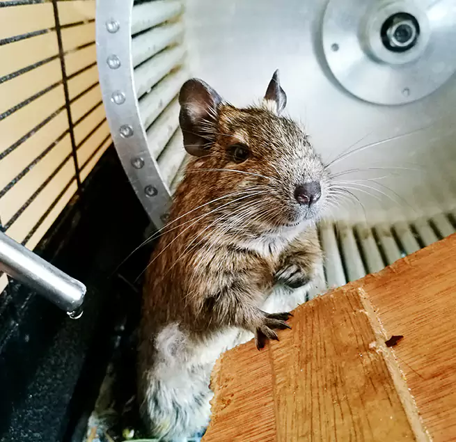 Why Homeowners & Businesses Trust Us Dumont, NJ