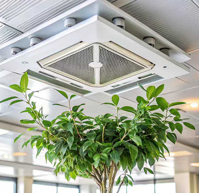 Why Homeowners & Businesses Trust Us in Dumont, NJ?