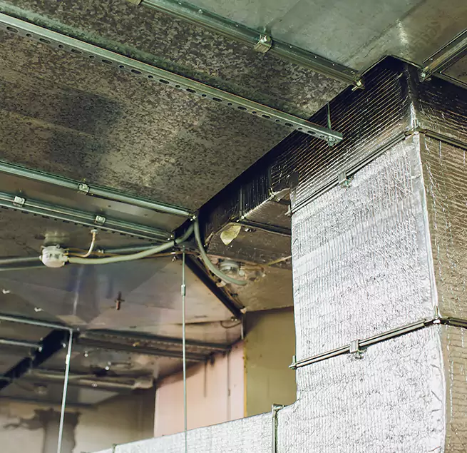 Why Homeowners & Businesses Trust Us in Dumont, NJ?